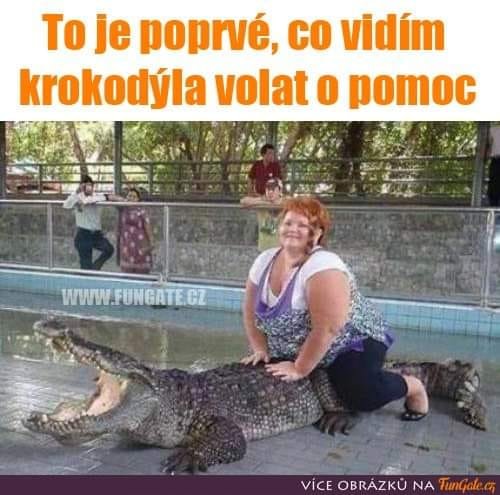 kliknutím fotku zvětšíte