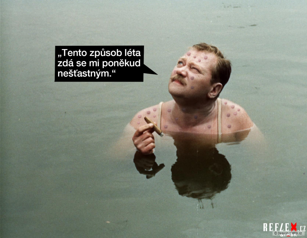 kliknutím fotku zvětšíte