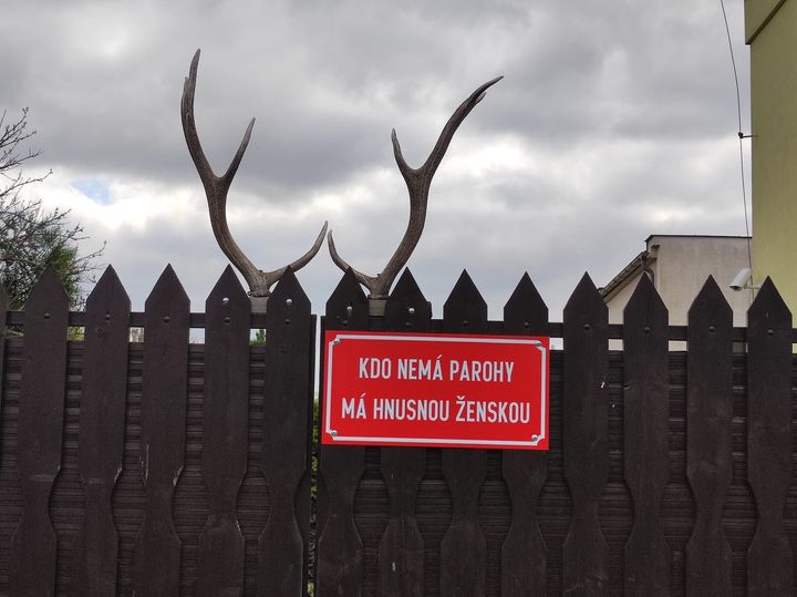kliknutím fotku zvětšíte