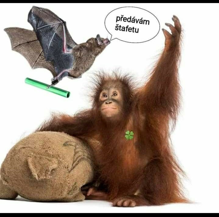 kliknutím fotku zvětšíte