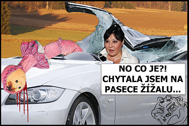 kliknutím fotku zvětšíte