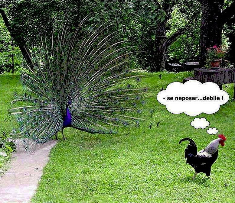 kliknutím fotku zvětšíte