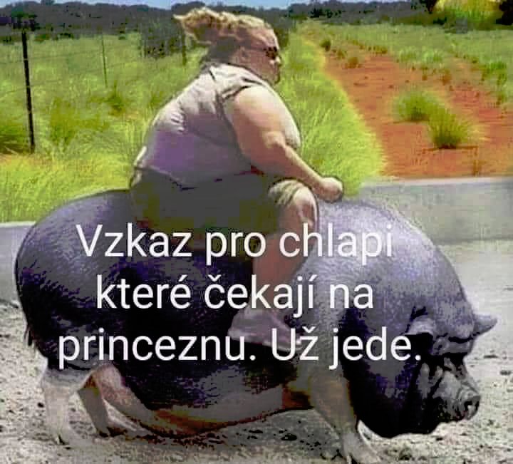 kliknutím fotku zvětšíte