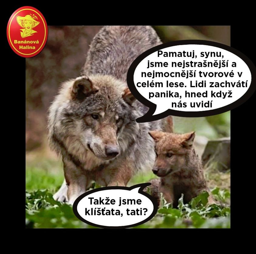 kliknutím fotku zvětšíte