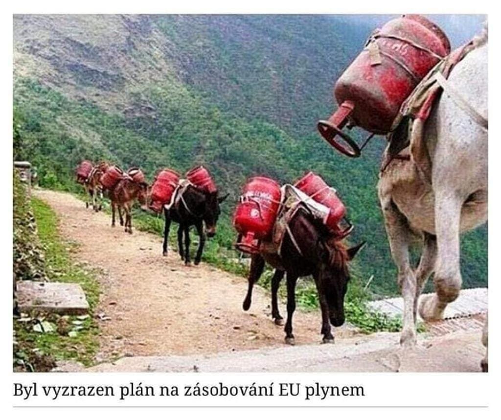 kliknutím fotku zvětšíte