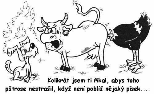 kliknutím fotku zvětšíte
