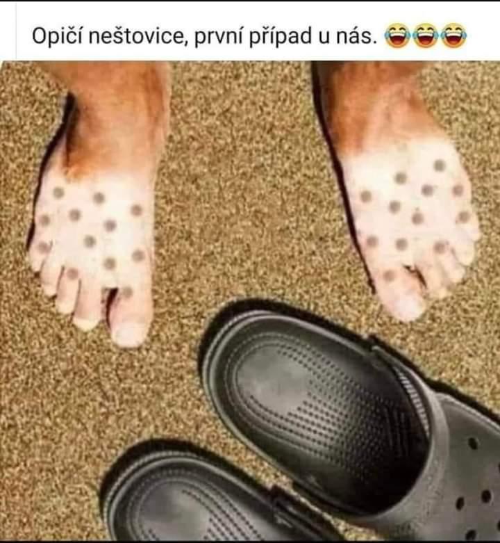 kliknutím fotku zvětšíte