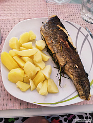 kliknutím fotku zvětšíte