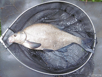 kliknutím fotku zvětšíte