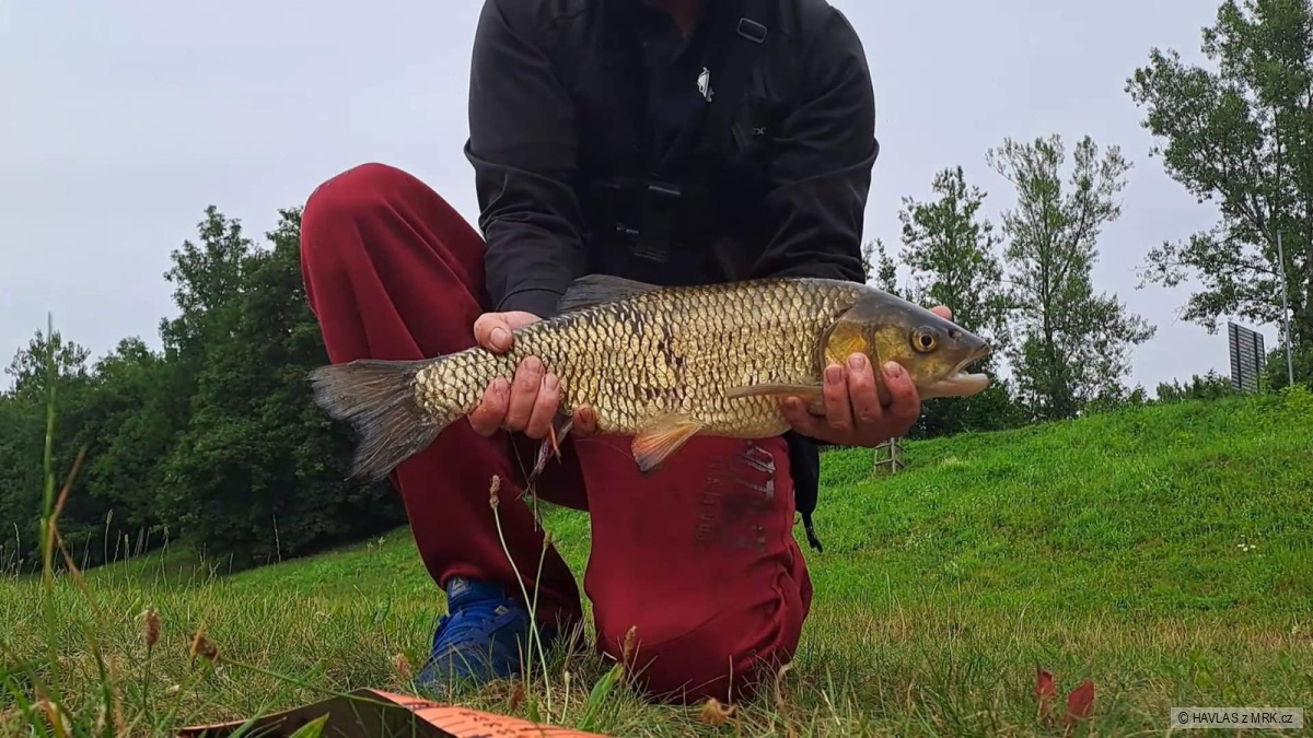 kliknutím fotku zvětšíte
