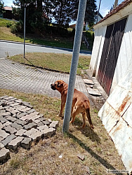 kliknutím fotku zvětšíte