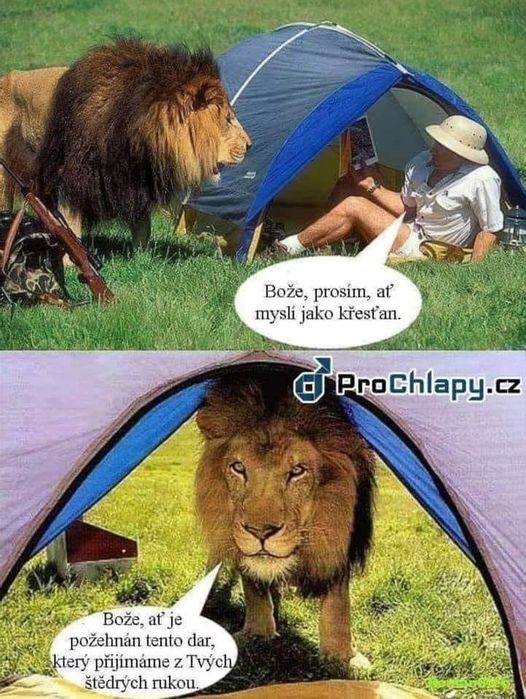 kliknutím fotku zvětšíte
