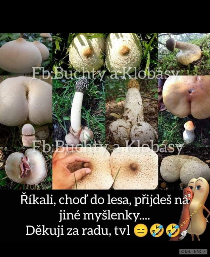 kliknutím fotku zvětšíte