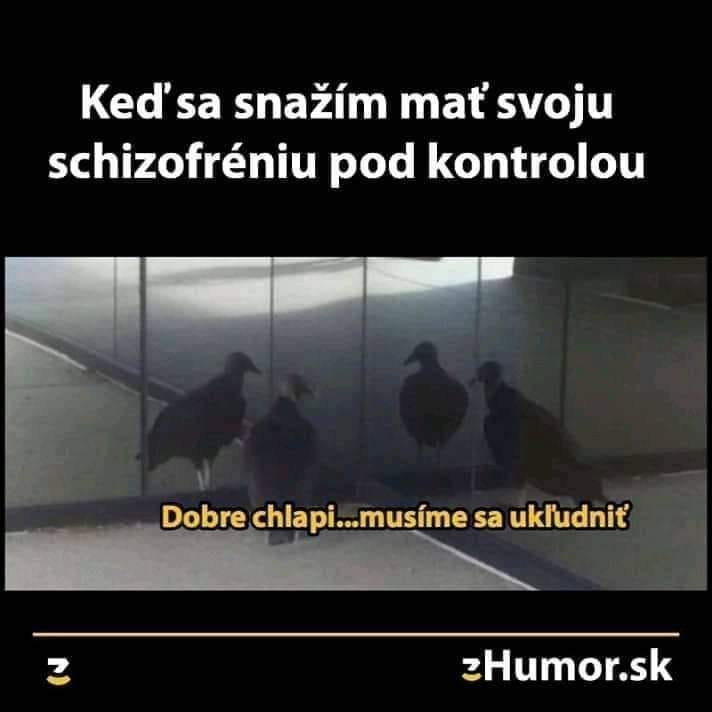 kliknutím fotku zvětšíte
