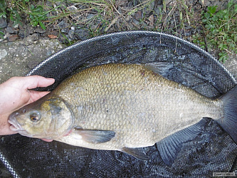 kliknutím fotku zvětšíte