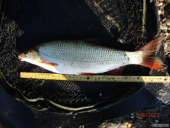 kliknutím fotku zvětšíte