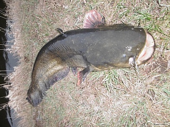 kliknutím fotku zvětšíte