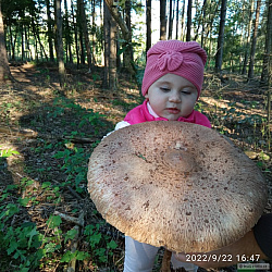 kliknutím fotku zvětšíte