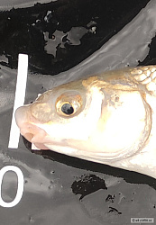 kliknutím fotku zvětšíte