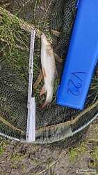 kliknutím fotku zvětšíte