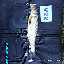 kliknutím fotku zvětšíte
