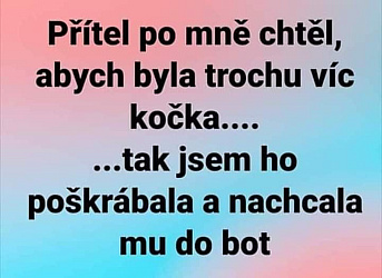 kliknutím fotku zvětšíte