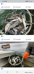 kliknutím fotku zvětšíte
