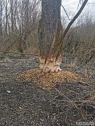 kliknutím fotku zvětšíte