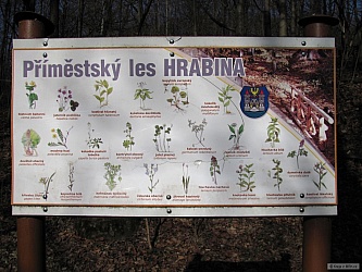 kliknutím fotku zvětšíte