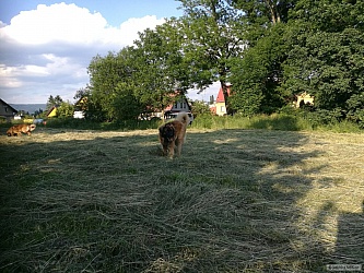 kliknutím fotku zvětšíte