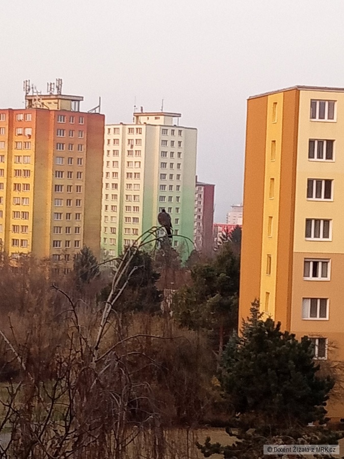 kliknutím fotku zvětšíte