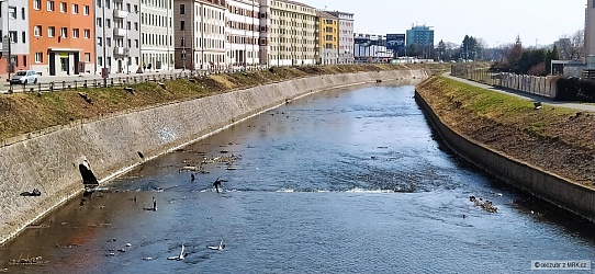 kliknutím fotku zvětšíte