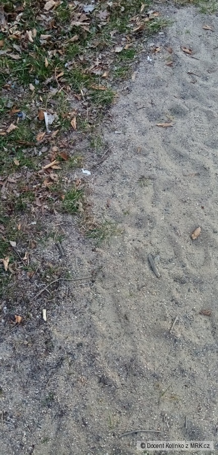 kliknutím fotku zvětšíte