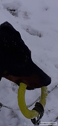 kliknutím fotku zvětšíte