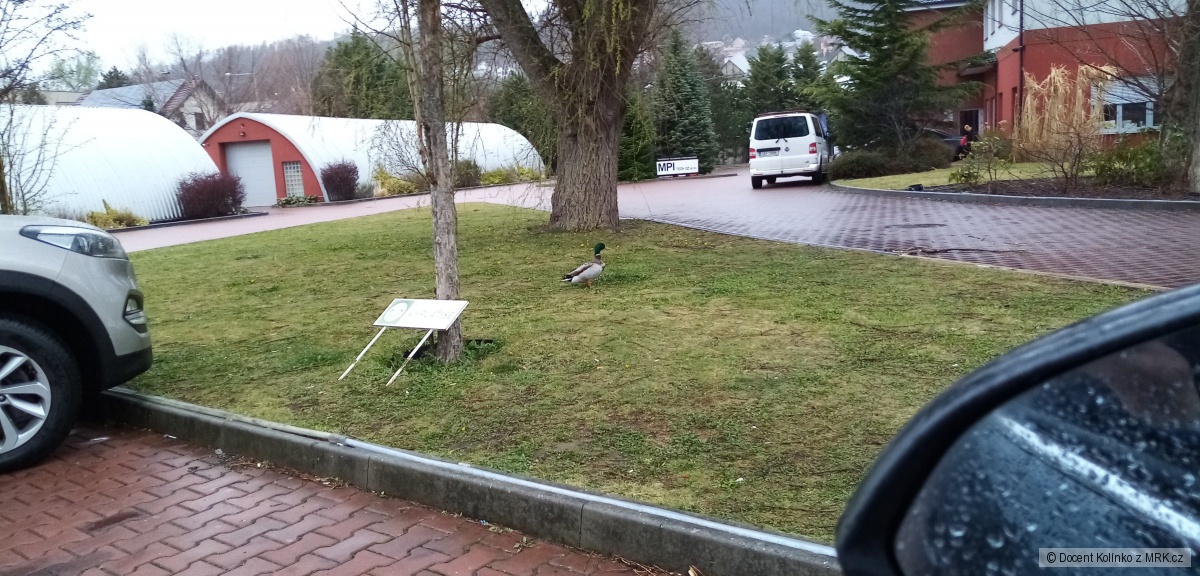 kliknutím fotku zvětšíte