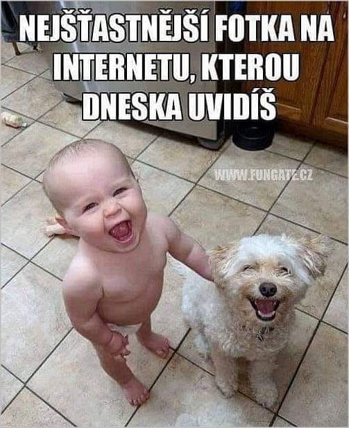 kliknutím fotku zvětšíte