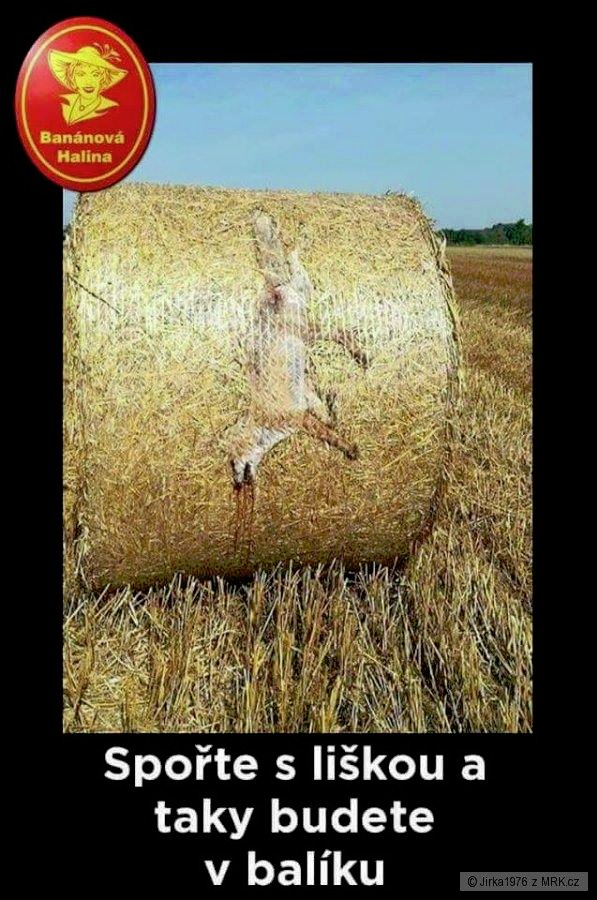 kliknutím fotku zvětšíte