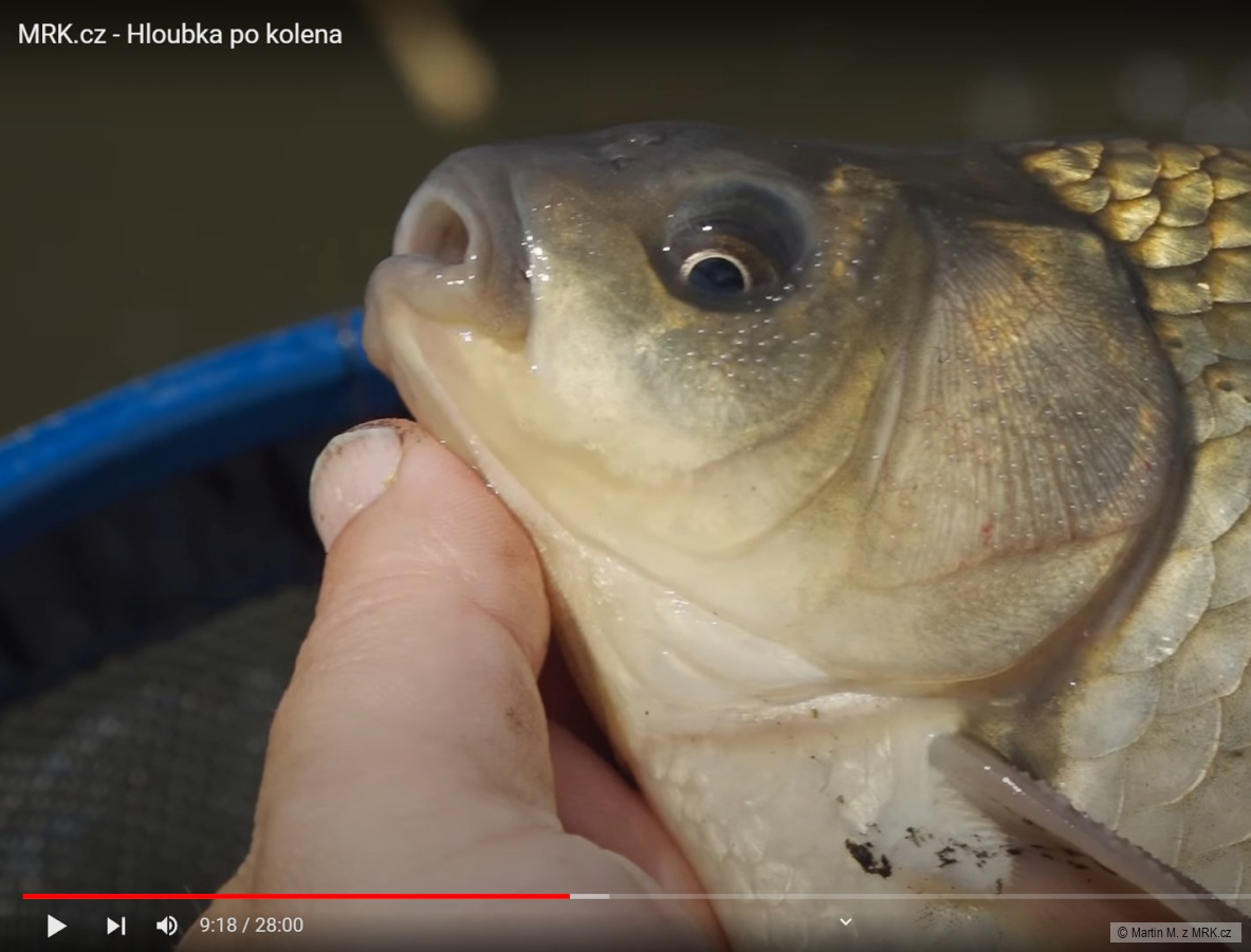 kliknutím fotku zvětšíte