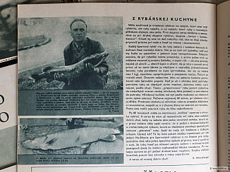 kliknutím fotku zvětšíte