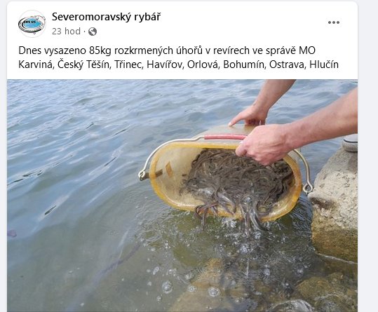 kliknutím fotku zvětšíte