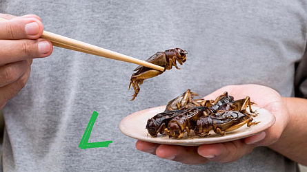 kliknutím fotku zvětšíte