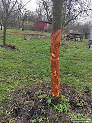 kliknutím fotku zvětšíte