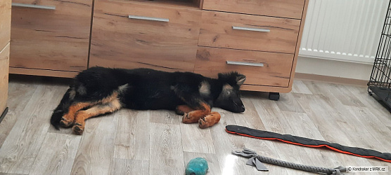 kliknutím fotku zvětšíte