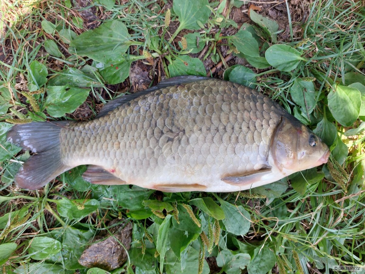 kliknutím fotku zvětšíte