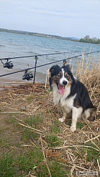 kliknutím fotku zvětšíte