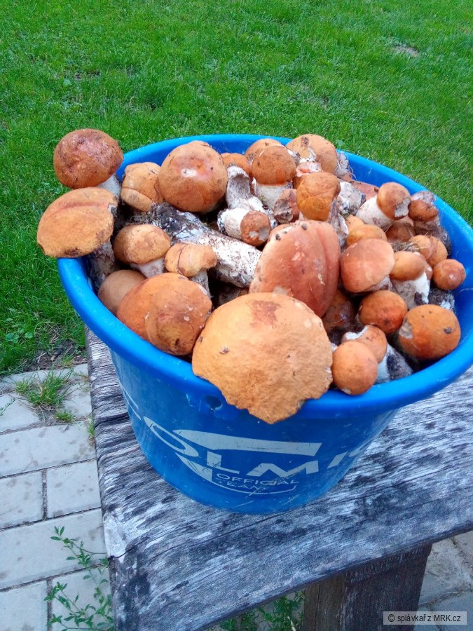 kliknutím fotku zvětšíte