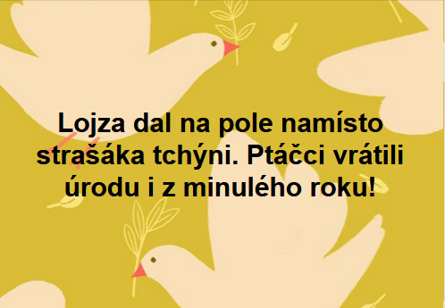 kliknutím fotku zvětšíte