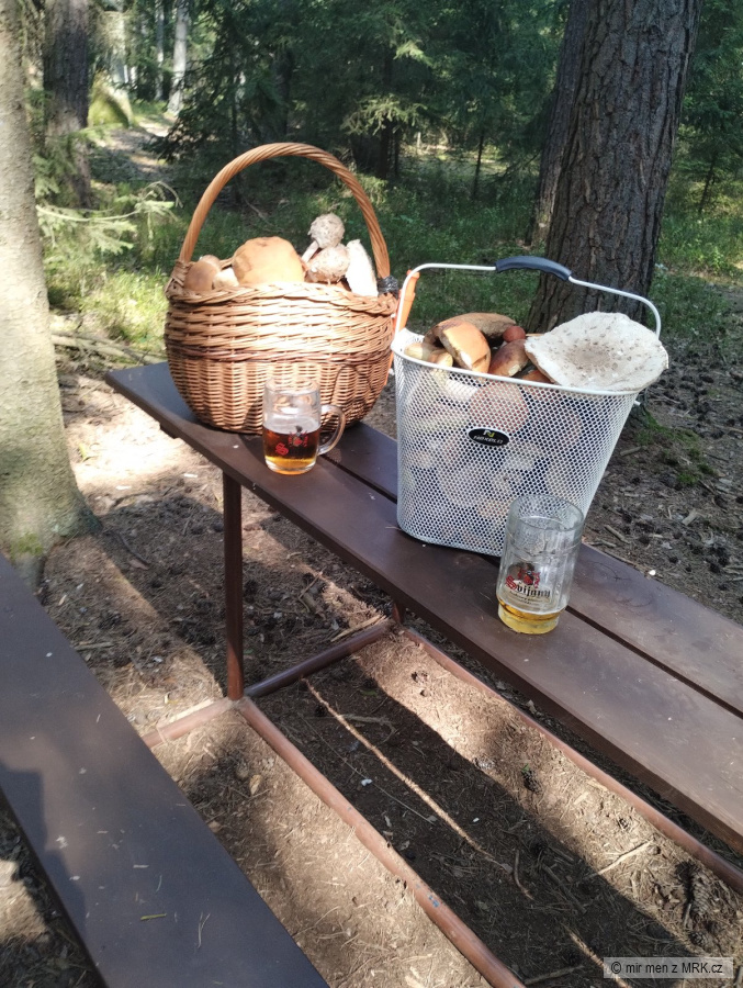 kliknutím fotku zvětšíte