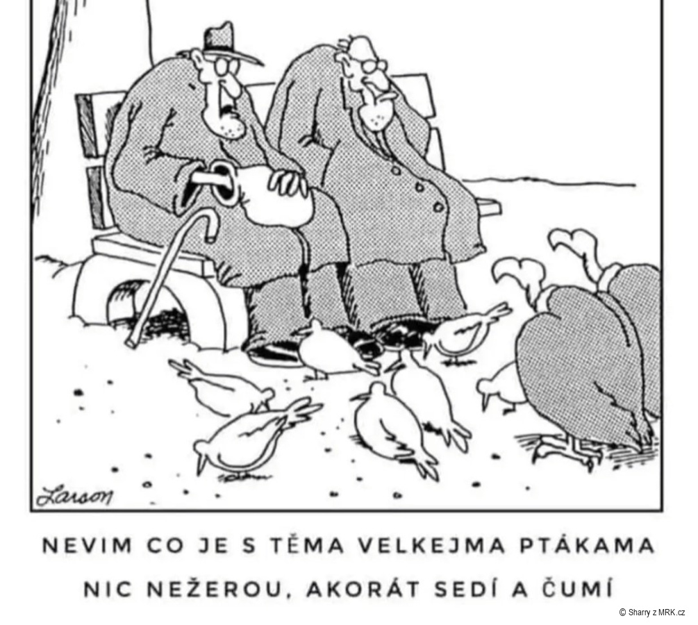 kliknutím fotku zvětšíte