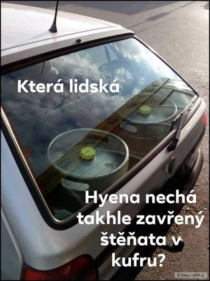 kliknutím fotku zvětšíte